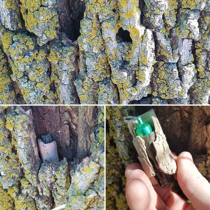 Geocaching die moderne Form der Schnitzeljagt oder Schatzsuche 12 Geocaching