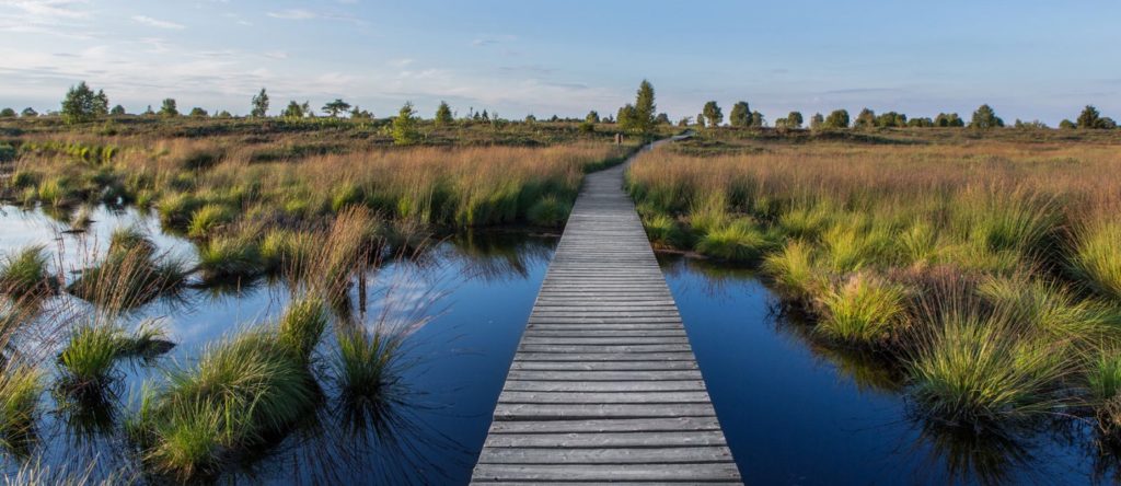 Wandern früher ein Art zu Reisen im 21 Jahrhundert eine Freizeit Aktivität 13 Wandern im Naturpark Hohes Venn Belgien - Eifel